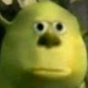 Meet your Posher, Kyra